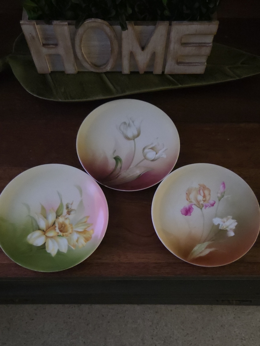 Vintage RS Germany Hand Painted Porcelain Cabinet Plates